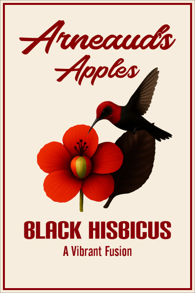 Black Hibiscus