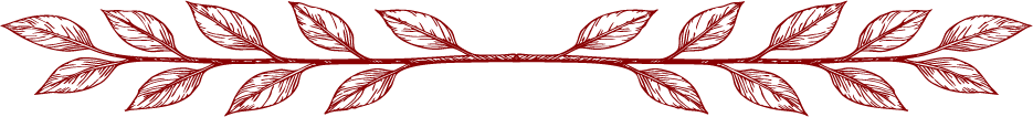Section Divider